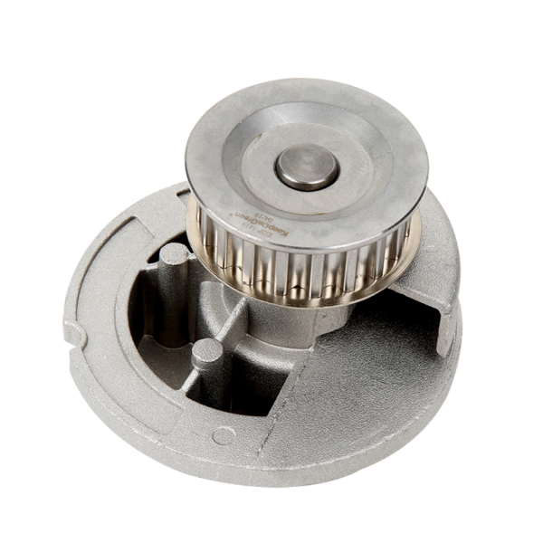 KGP-1619 Bomba de Agua