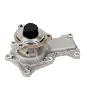 KGP-2119 Bomba de Agua