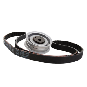 KR-262 (B-G) Kit de Banda de Distribución